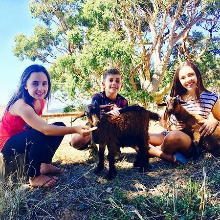 Morella Farmstay Cape Jervis Dış mekan fotoğraf