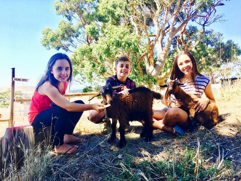 Morella Farmstay Cape Jervis Dış mekan fotoğraf