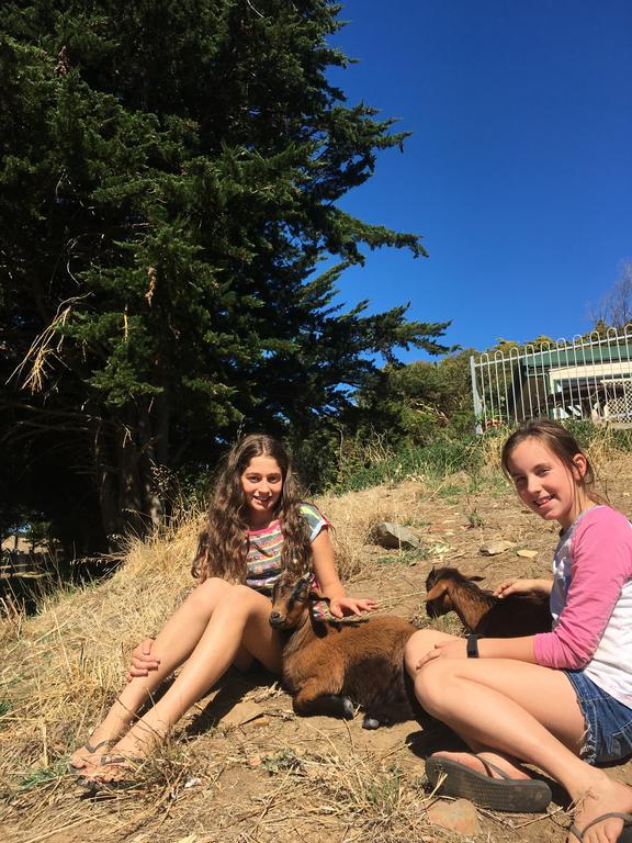 Morella Farmstay Cape Jervis Dış mekan fotoğraf