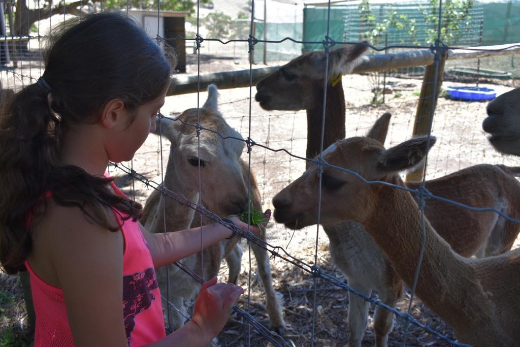 Morella Farmstay Cape Jervis Dış mekan fotoğraf
