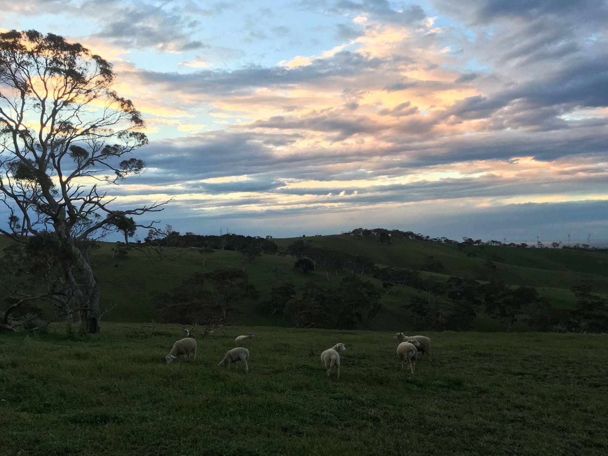 Morella Farmstay Cape Jervis Dış mekan fotoğraf