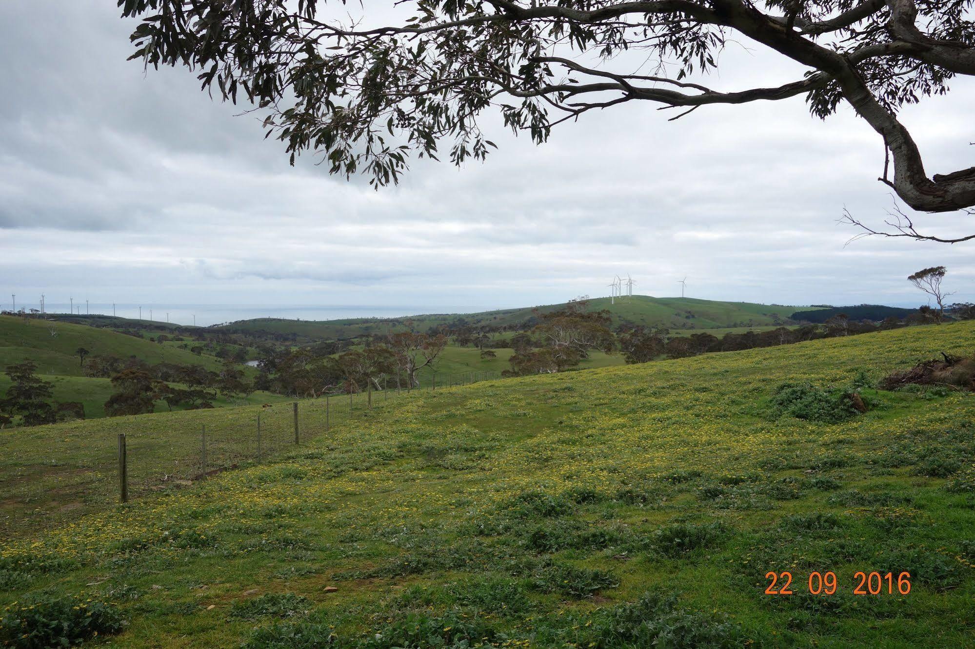 Morella Farmstay Cape Jervis Dış mekan fotoğraf