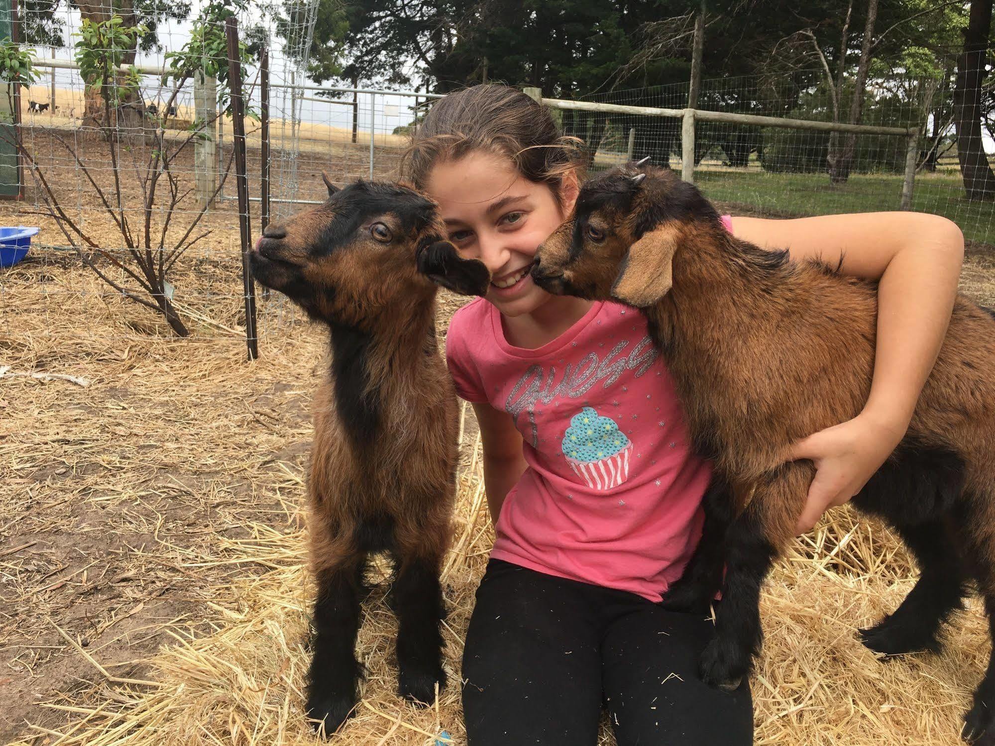 Morella Farmstay Cape Jervis Dış mekan fotoğraf